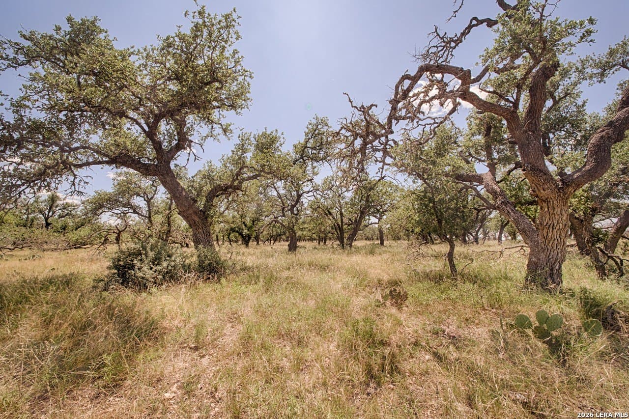 7.05 acres in Gillespie County - photo 7