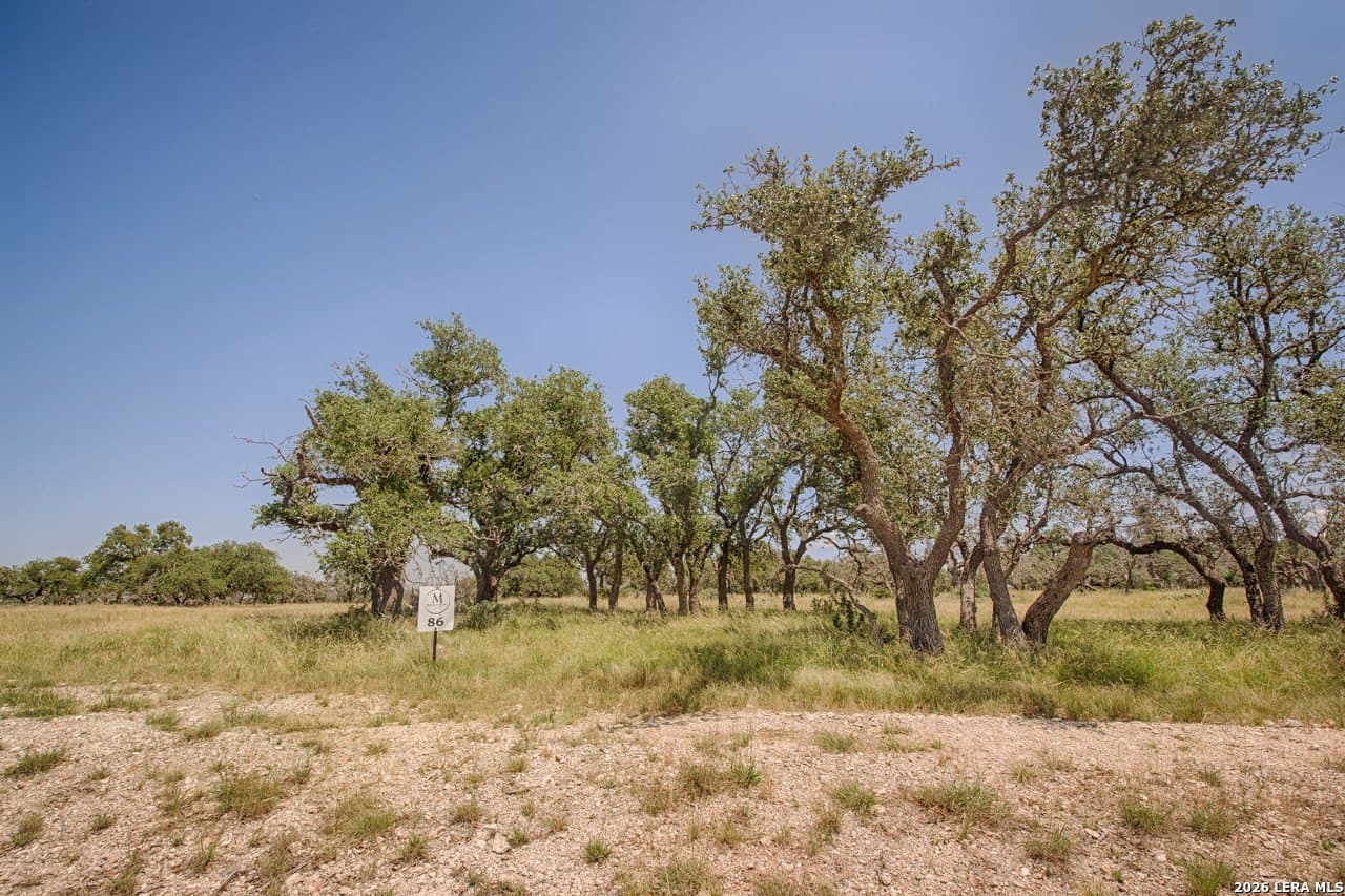 7.05 acres in Gillespie County gallery image 2