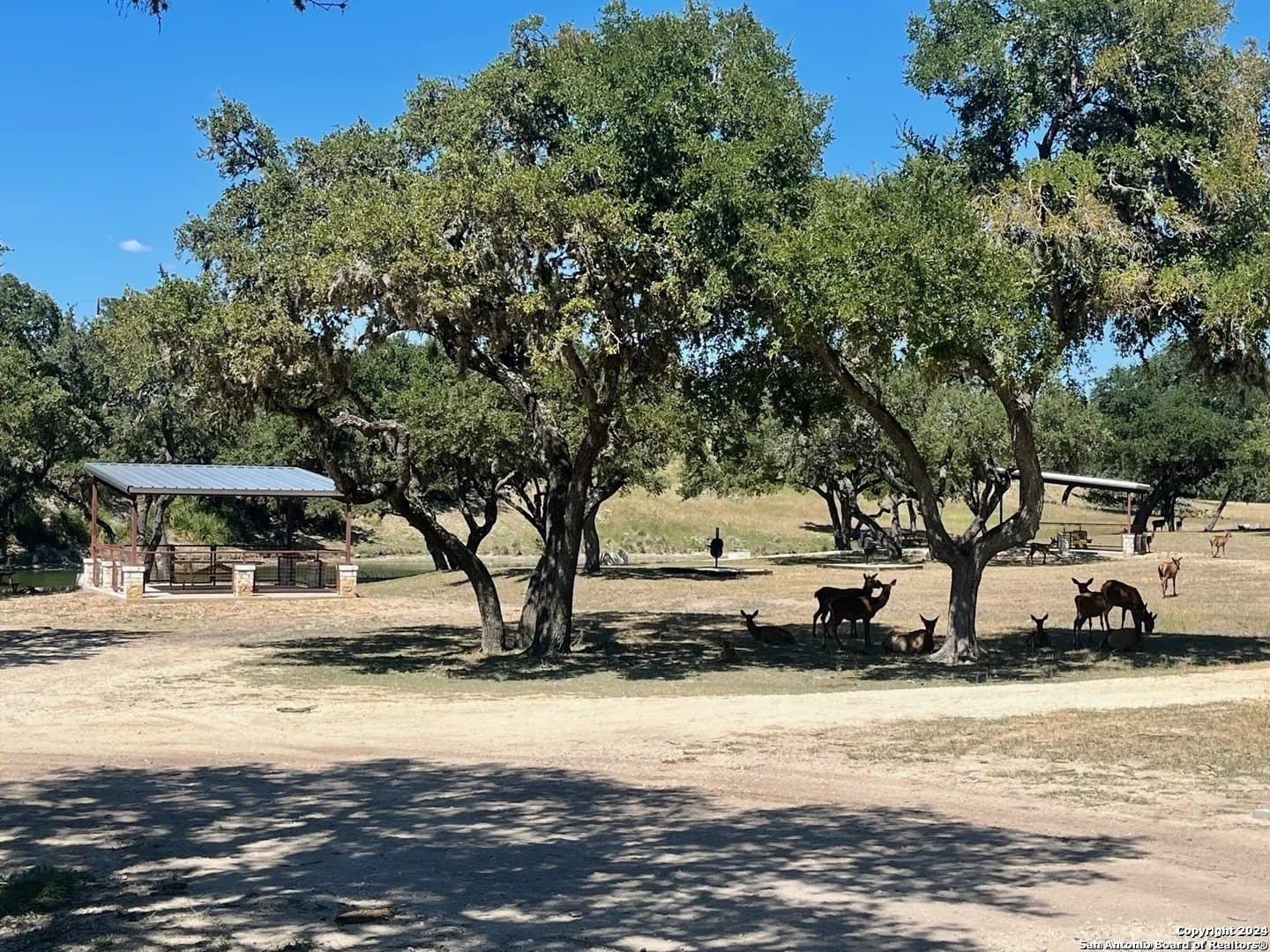 5.02 acres in Bandera County gallery image 3