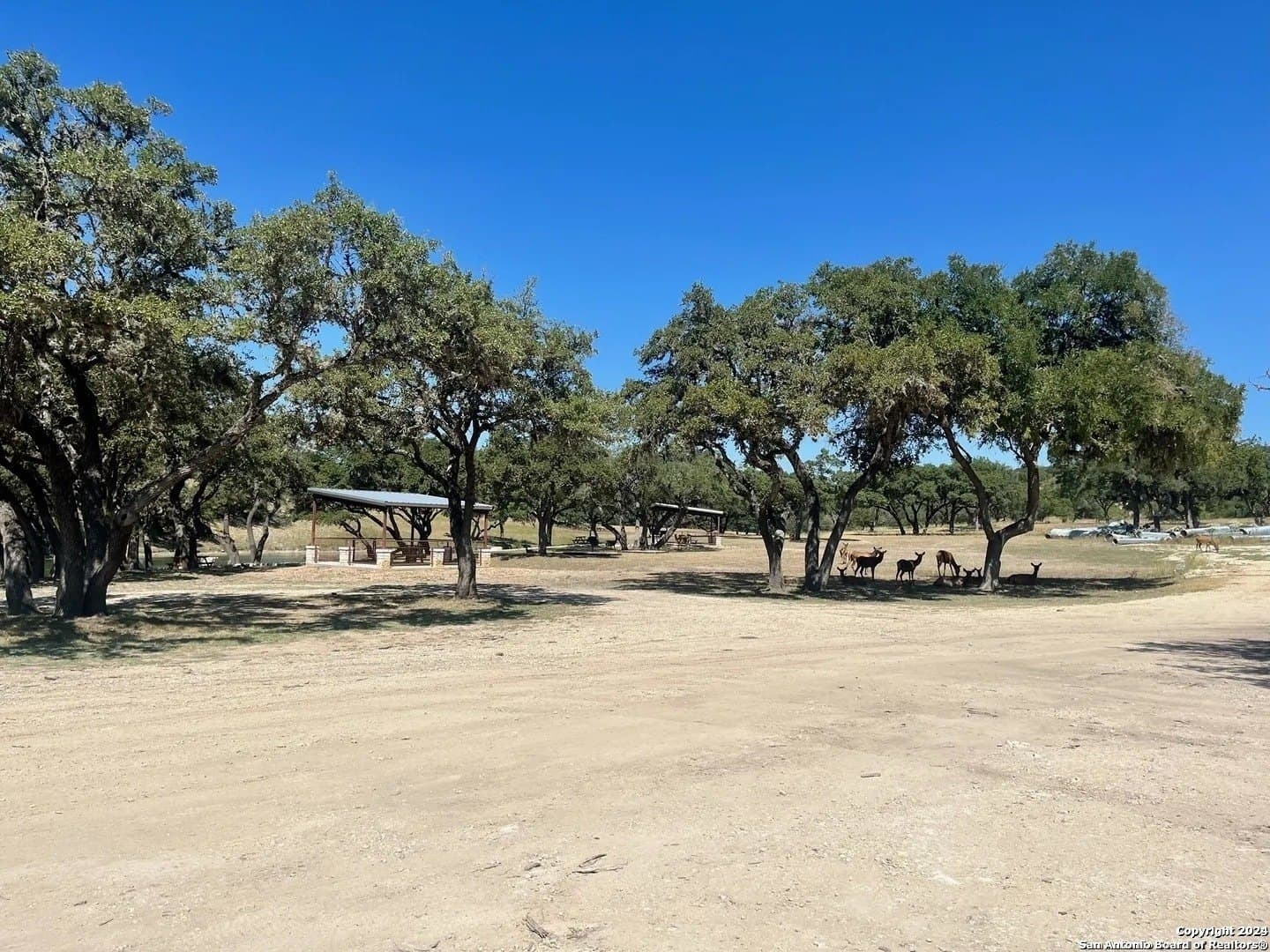 5.02 acres in Bandera County gallery image 4