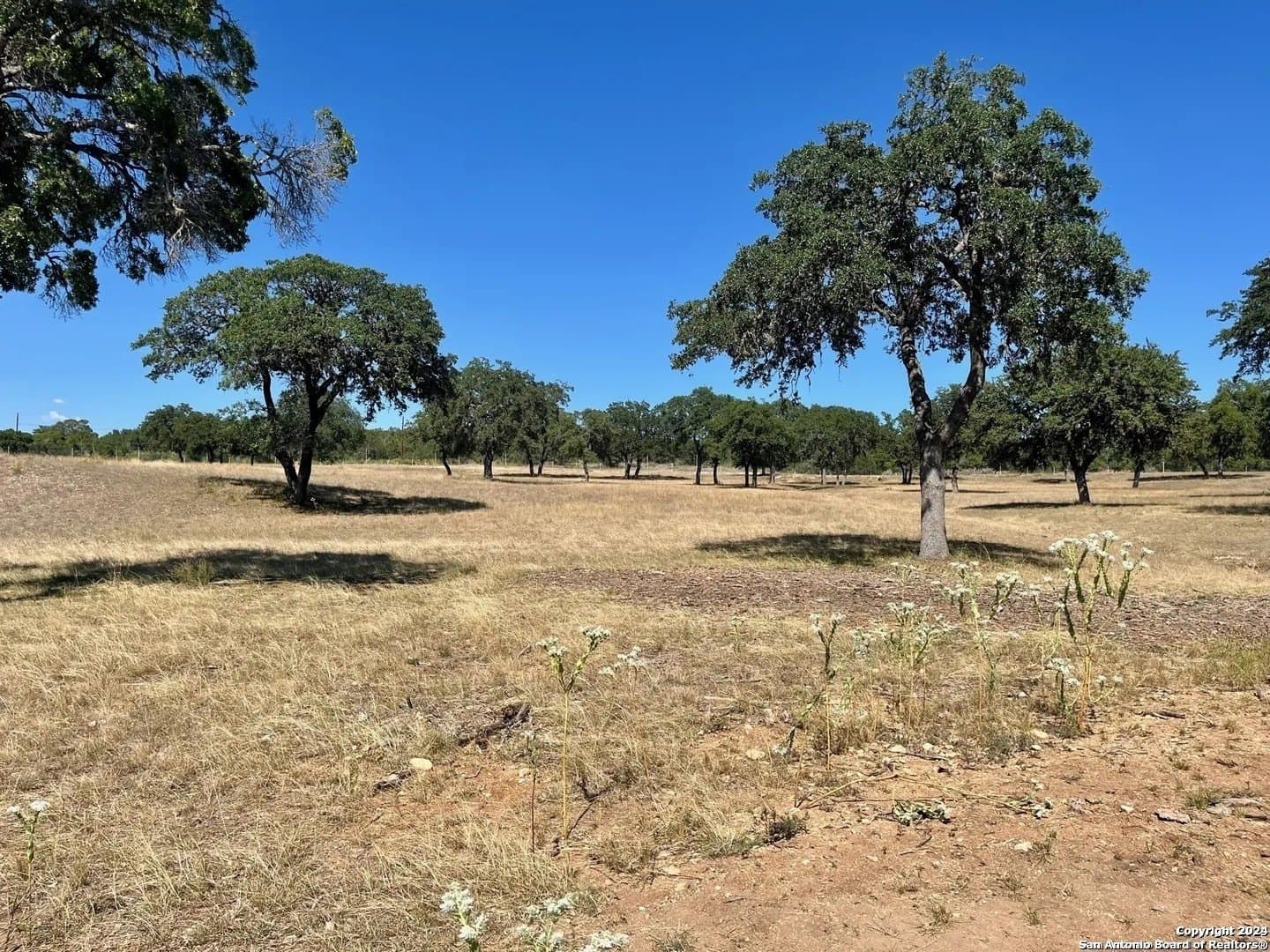 5.02 acres in Bandera County - photo 9