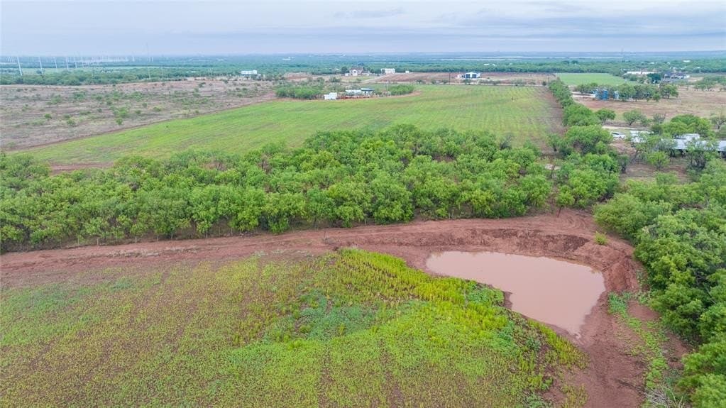 31 acres in Taylor County gallery image 4