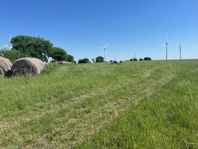 33.33 acres in Cooke County - photo 4