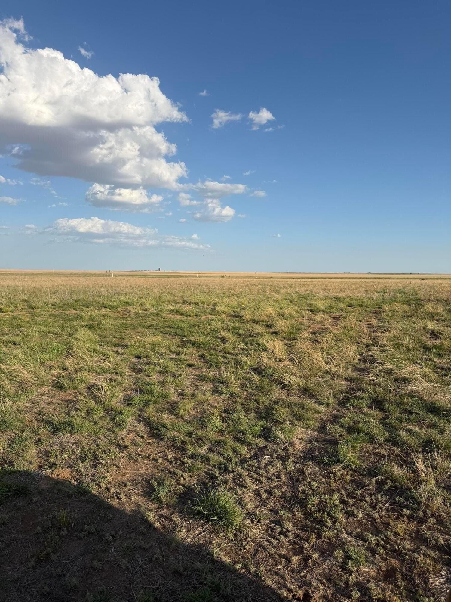 11.31 acres in Carson County