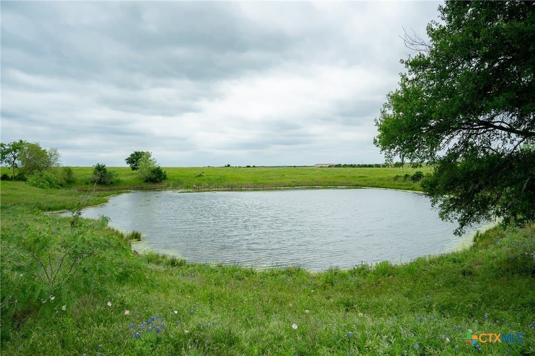 48.23 acres in Williamson County gallery image 3
