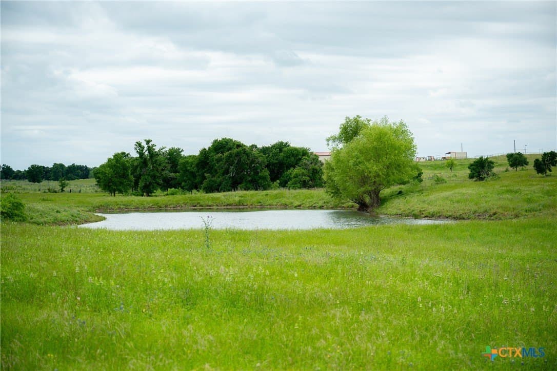 48.23 acres in Williamson County gallery image 4