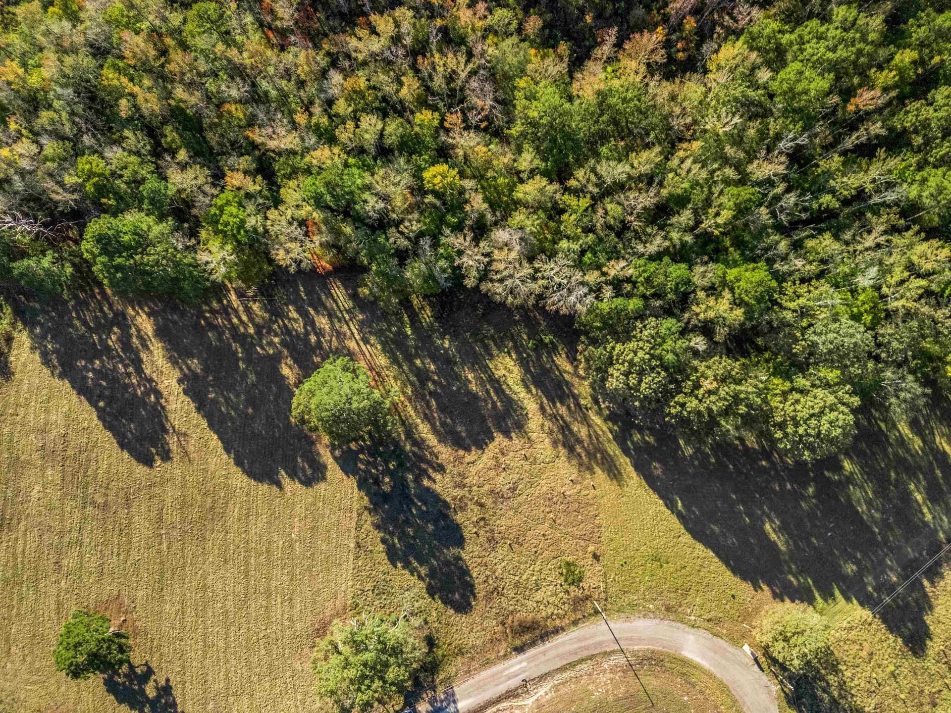 5.05 acres in Upshur County - photo 7