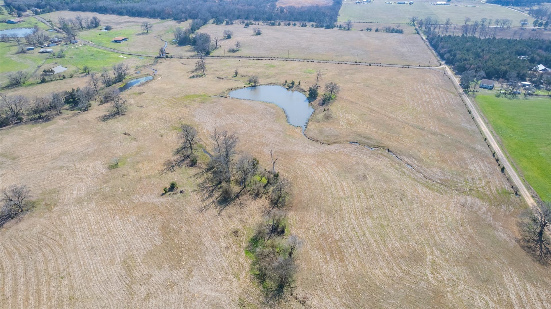 113.64 acres in Hopkins County - photo 4