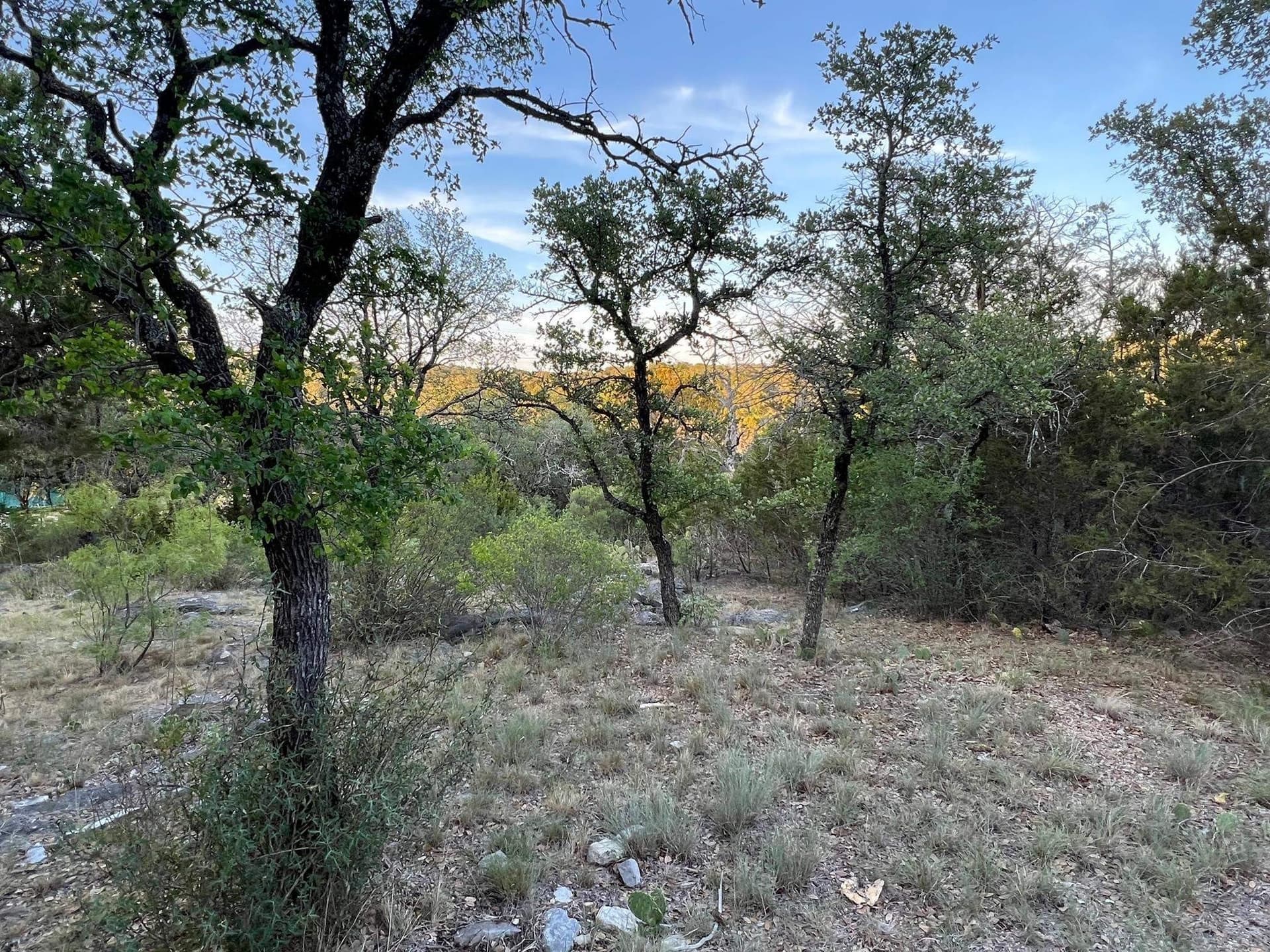 0.37 acres in Burnet County gallery image 2