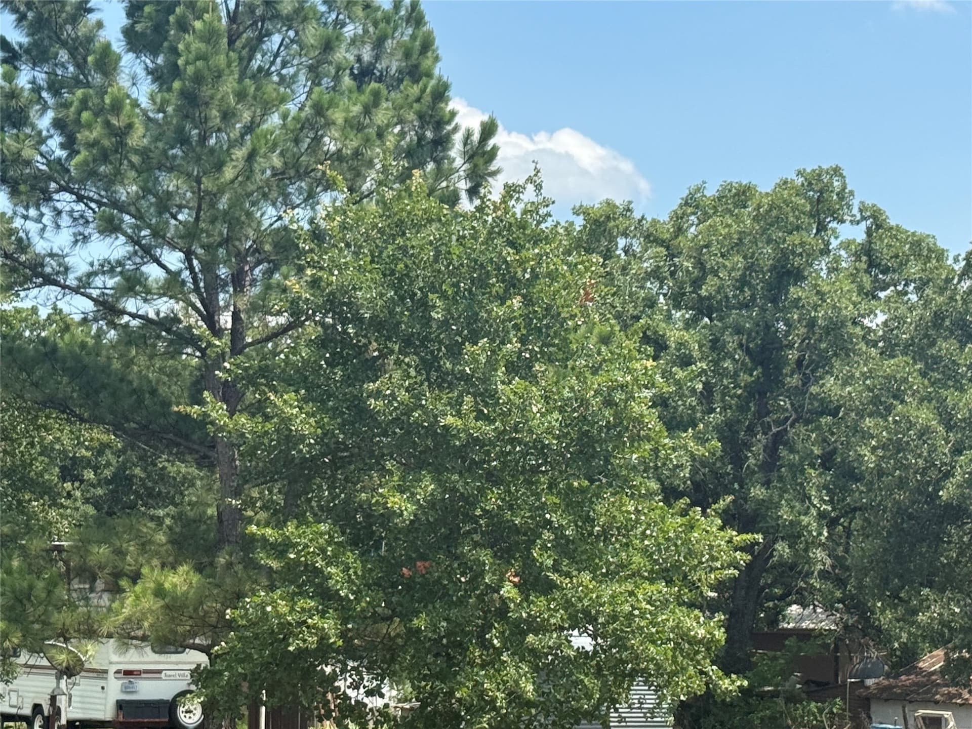 0.75 acres in Palo Pinto County featured view
