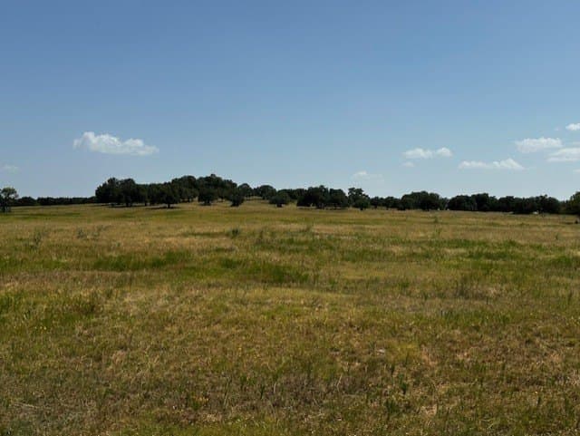 311.74 acres in Hood County - photo 12