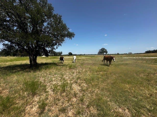 311.74 acres in Hood County - photo 8