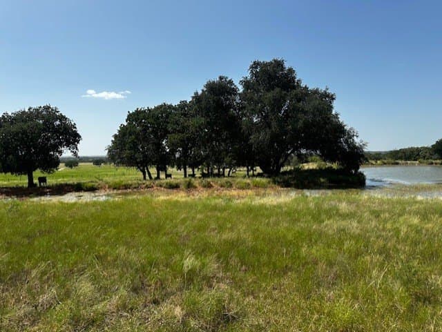 311.74 acres in Hood County - photo 18
