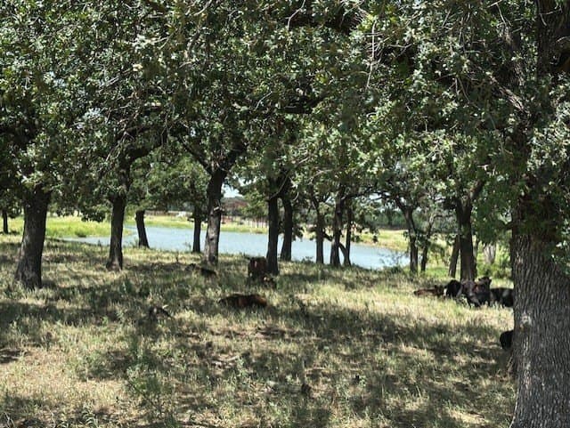 311.74 acres in Hood County - photo 3