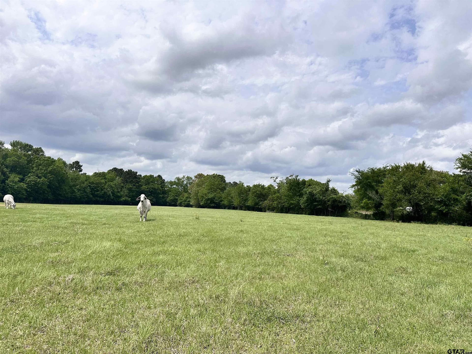 32.55 acres in Anderson County - photo 19