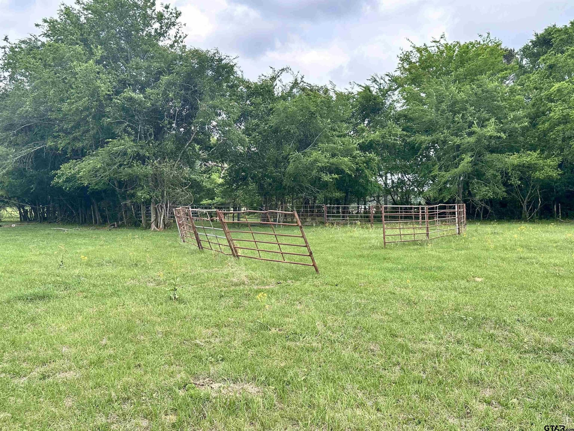 32.55 acres in Anderson County - photo 11