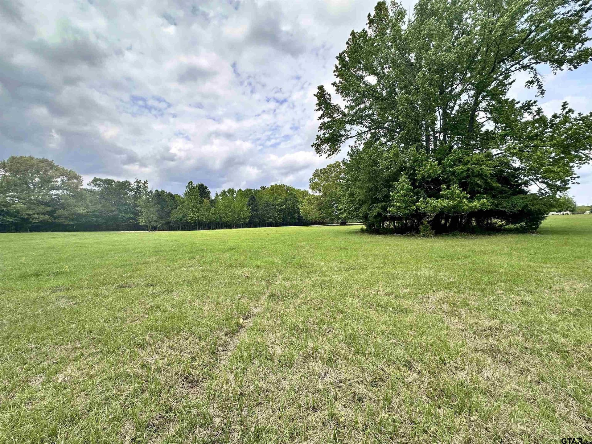 32.55 acres in Anderson County - photo 16