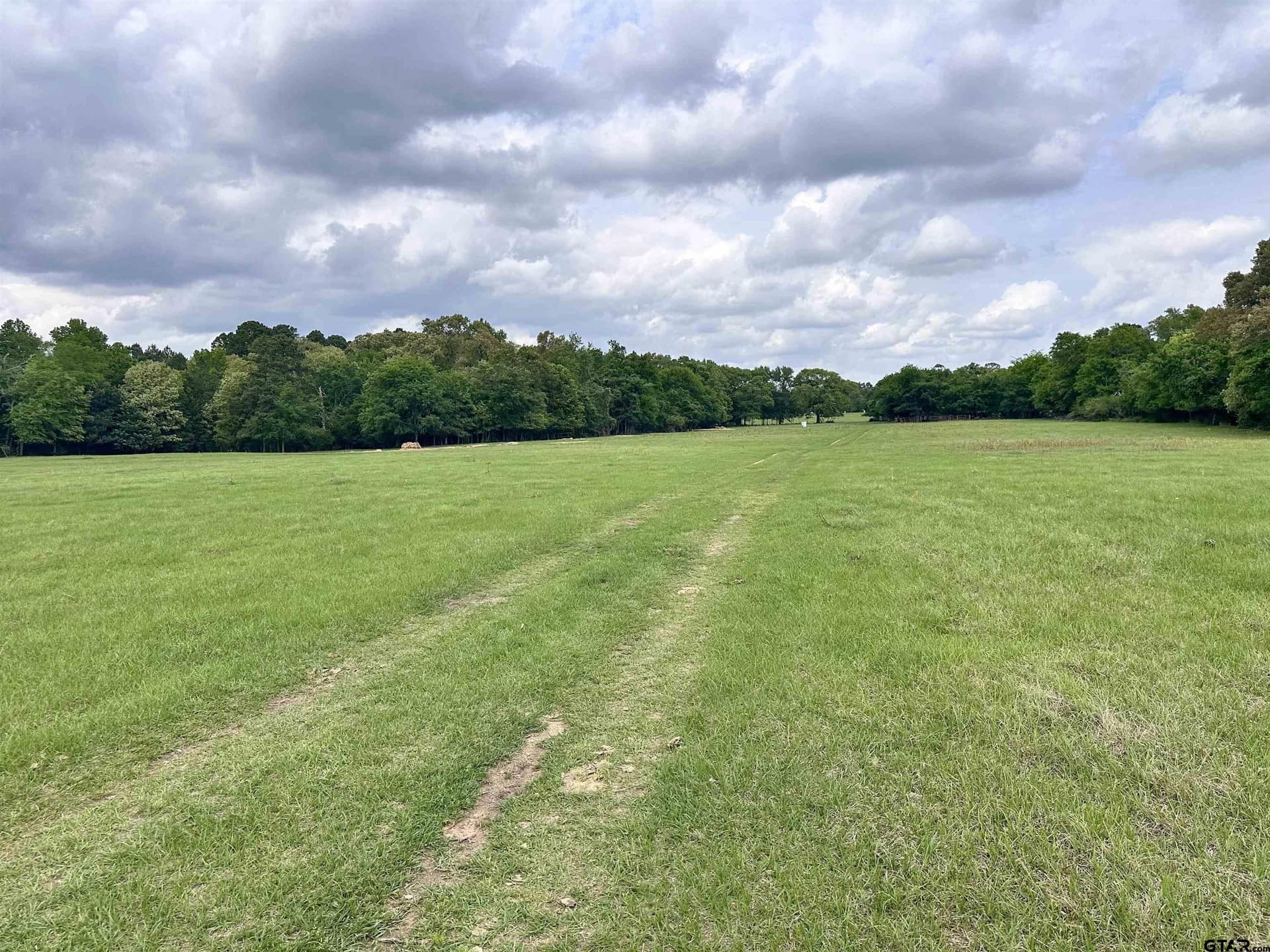 32.55 acres in Anderson County - photo 8