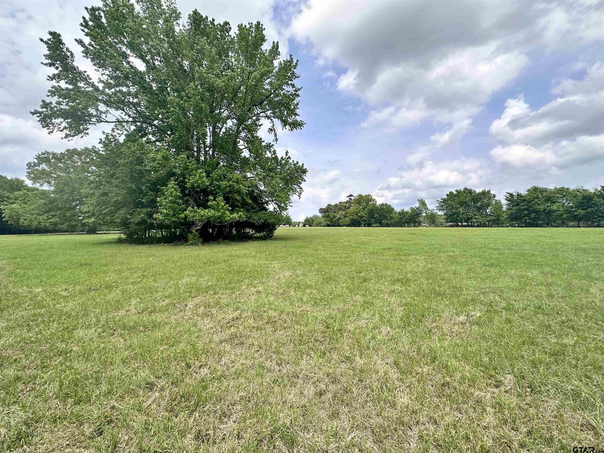 32.55 acres in Anderson County - photo 17