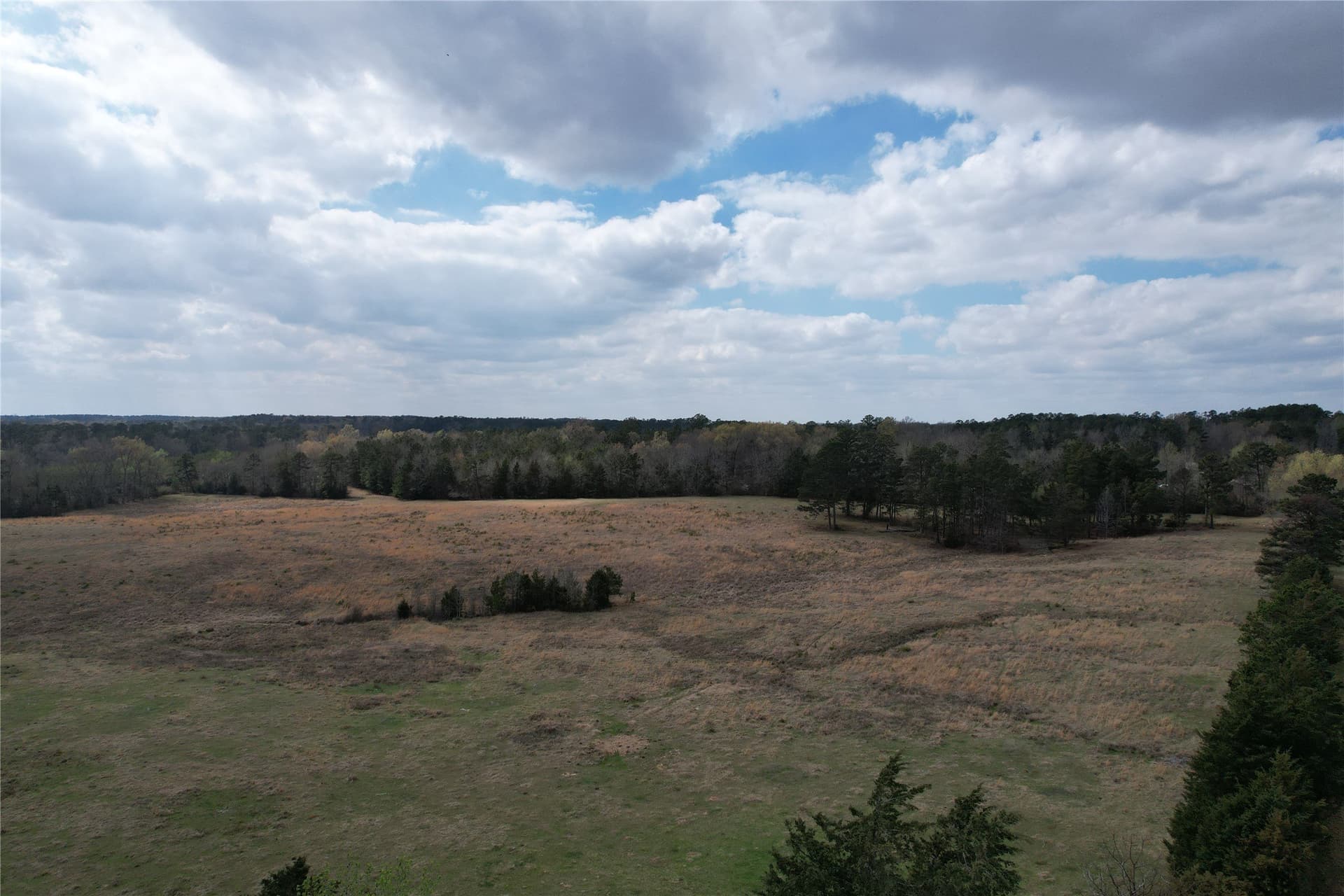 26 acres in Rusk County gallery image 4