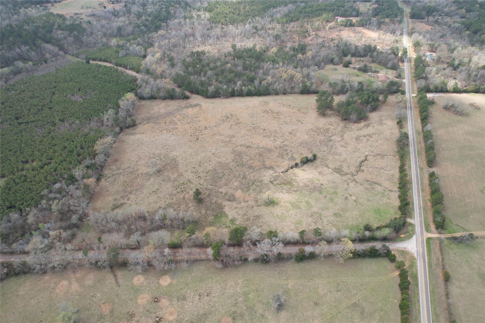 26 acres in Rusk County gallery image 2
