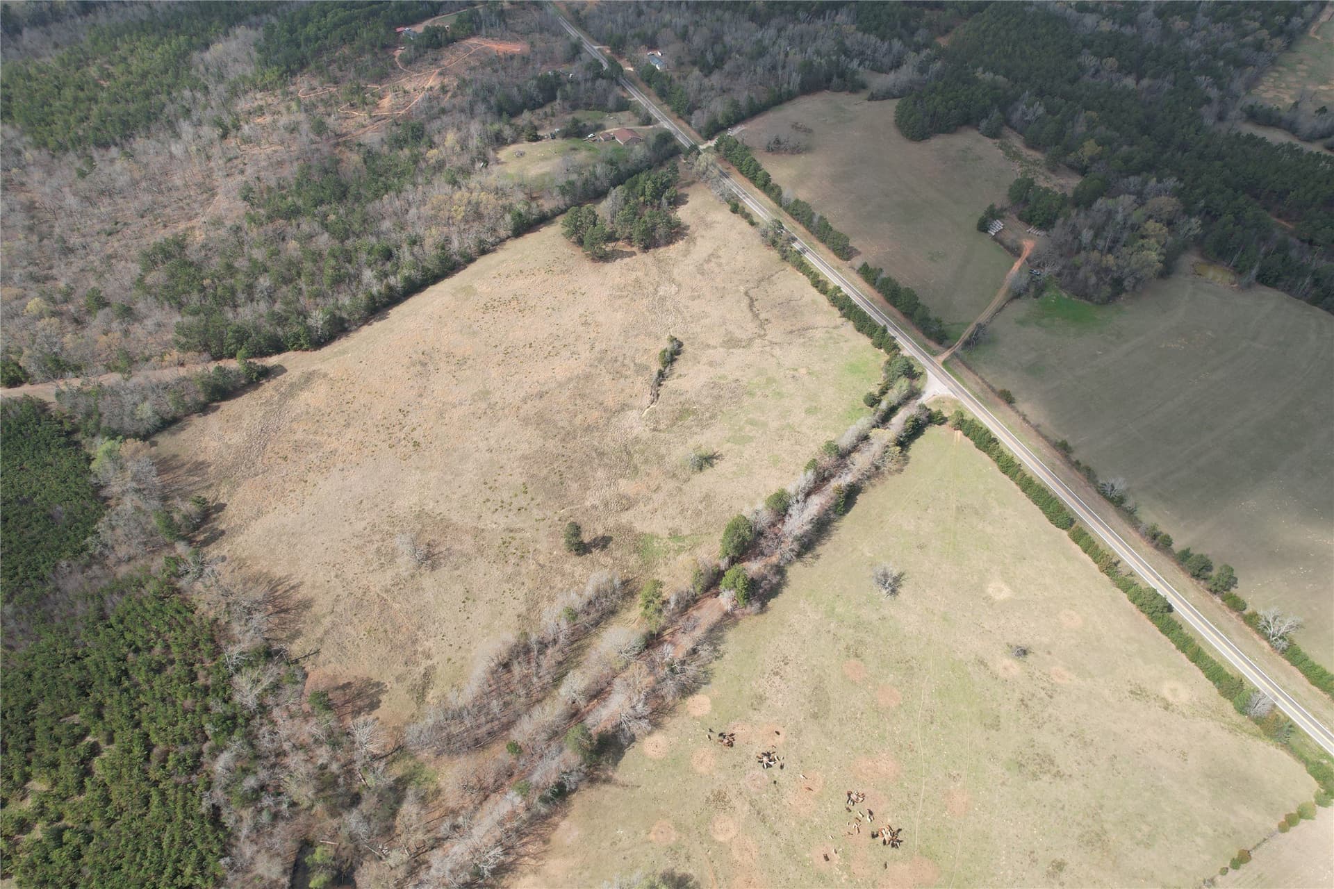 26 acres in Rusk County featured view
