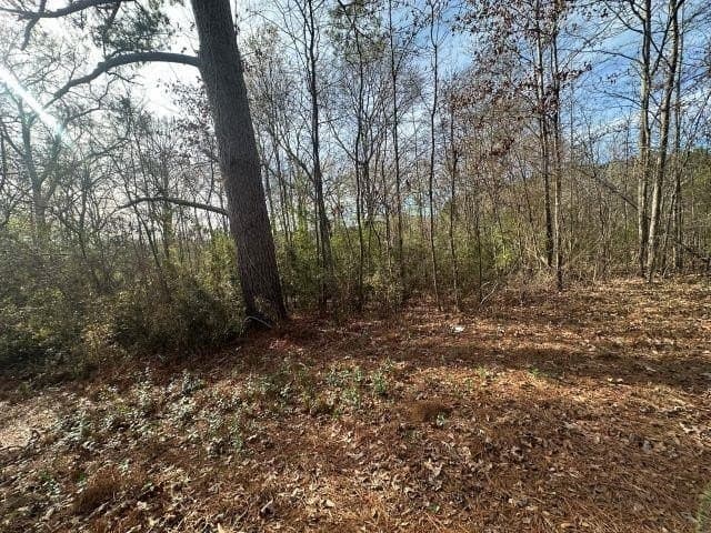 2.1 acres in Nacogdoches County - photo 3