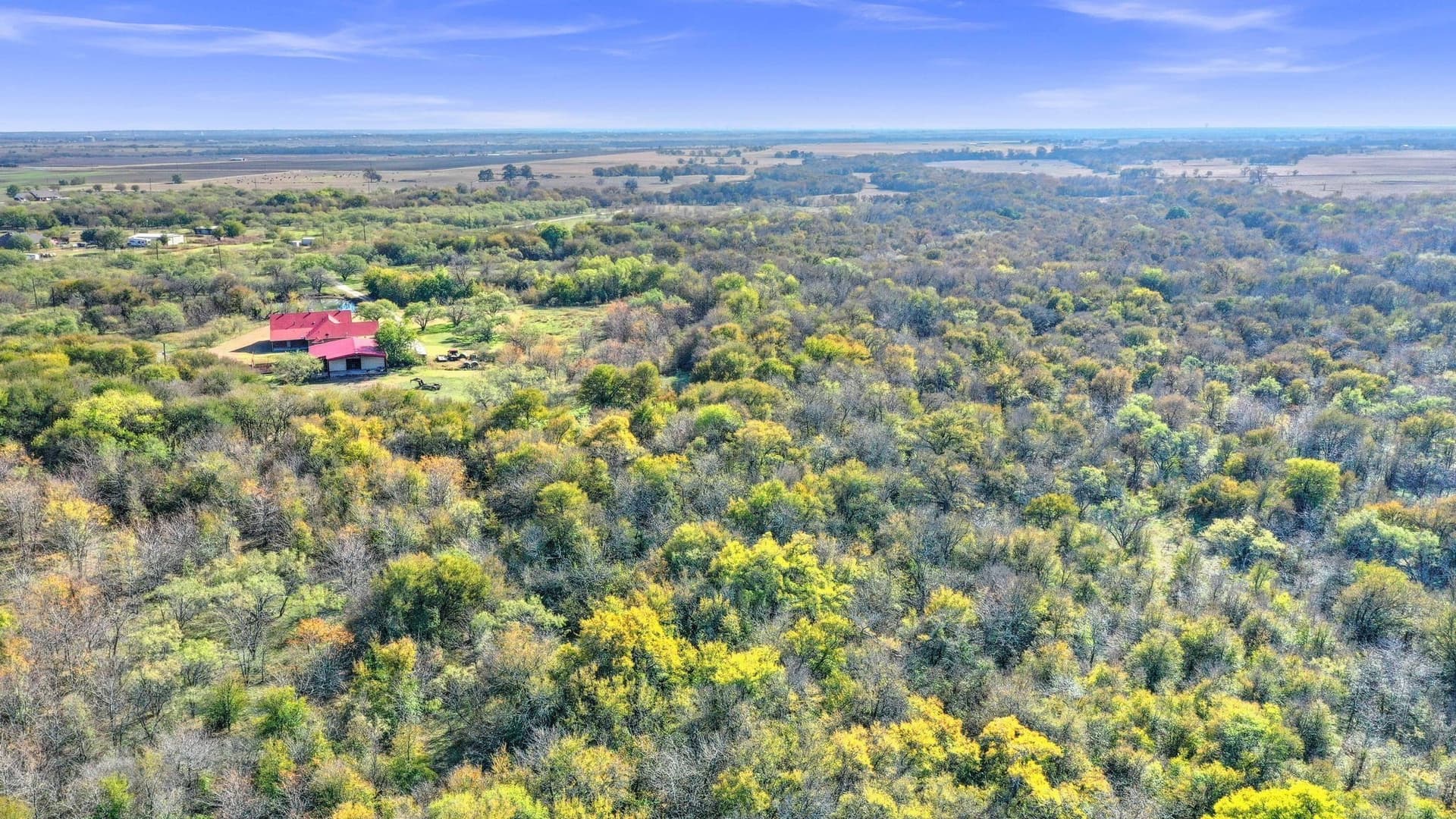 81.14 acres in Denton County gallery image 4