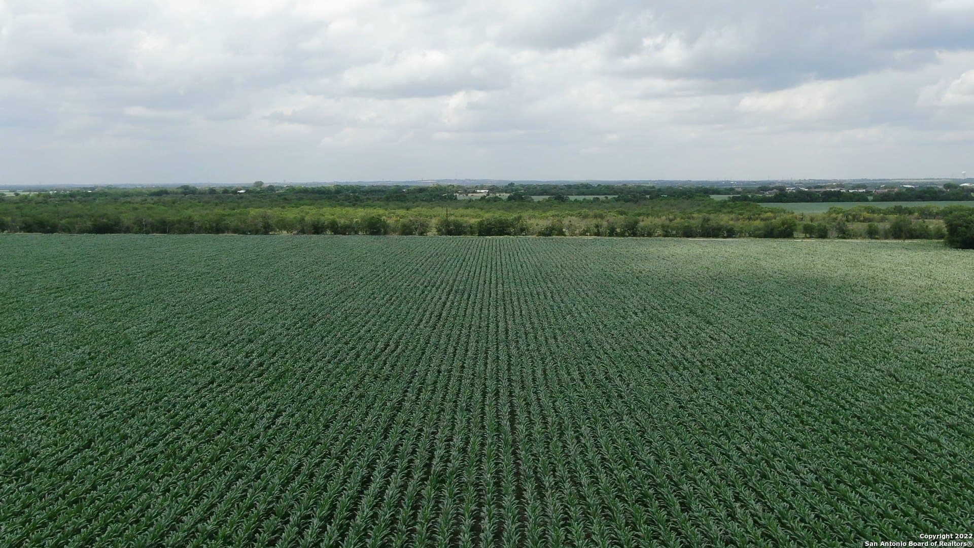 67.5 acres in Guadalupe County featured view
