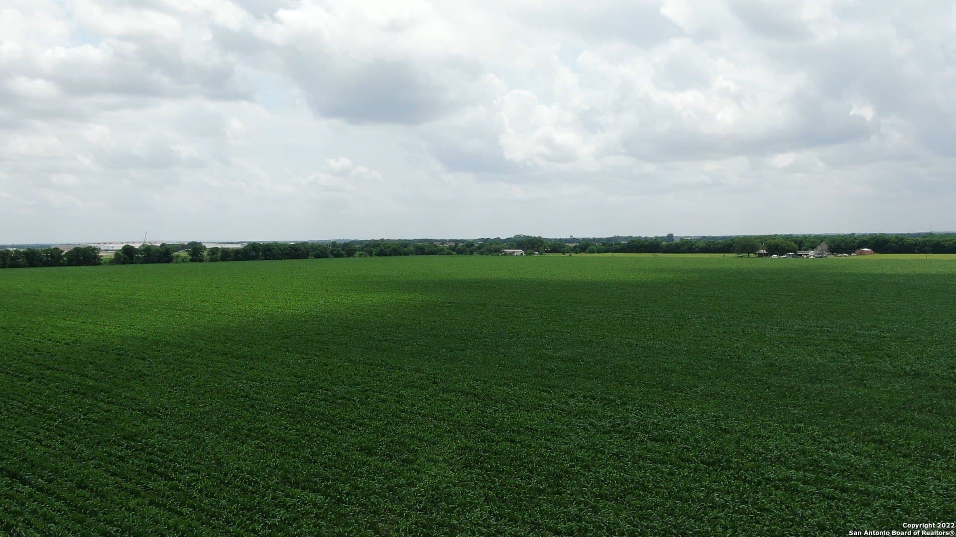 67.5 acres in Guadalupe County - photo 6