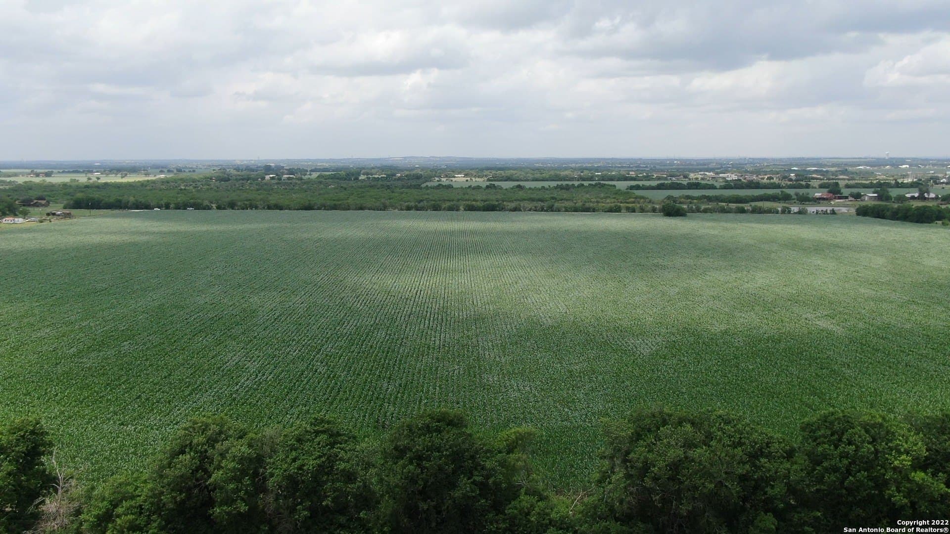 67.5 acres in Guadalupe County gallery image 3