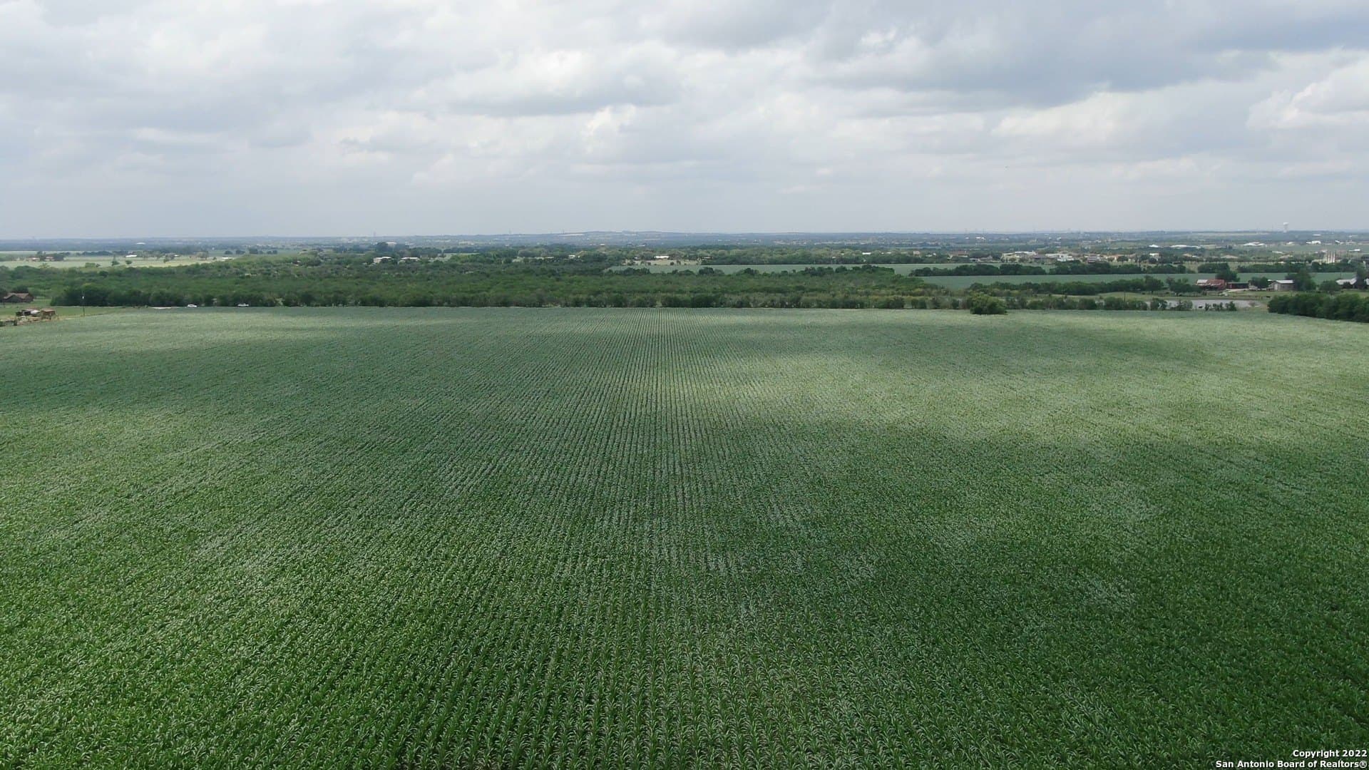 67.5 acres in Guadalupe County gallery image 4