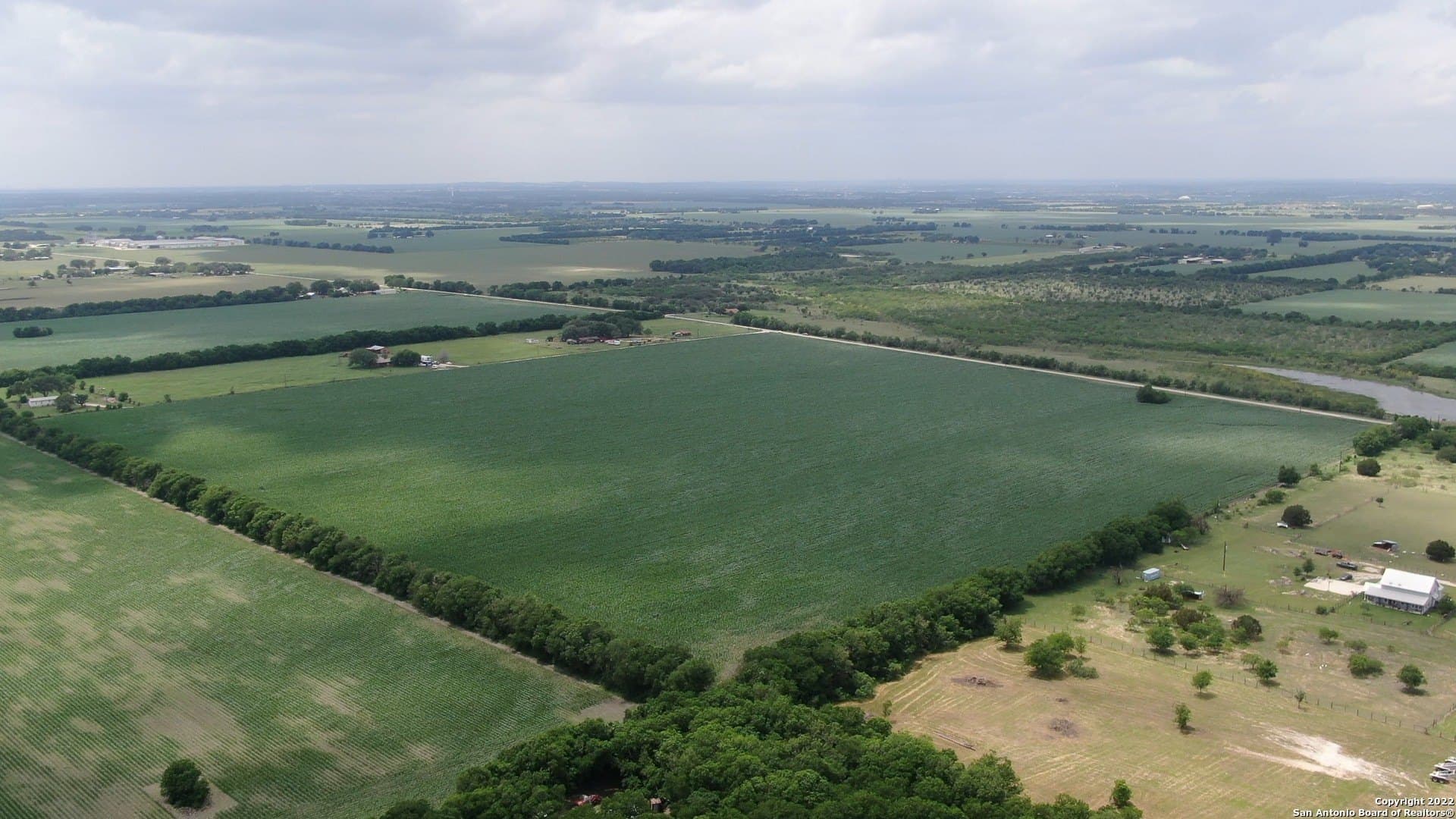 67.5 acres in Guadalupe County gallery image 2
