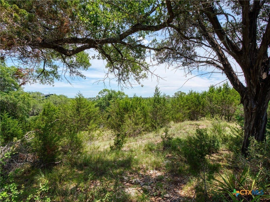 1.02 acres in Comal County gallery image 2
