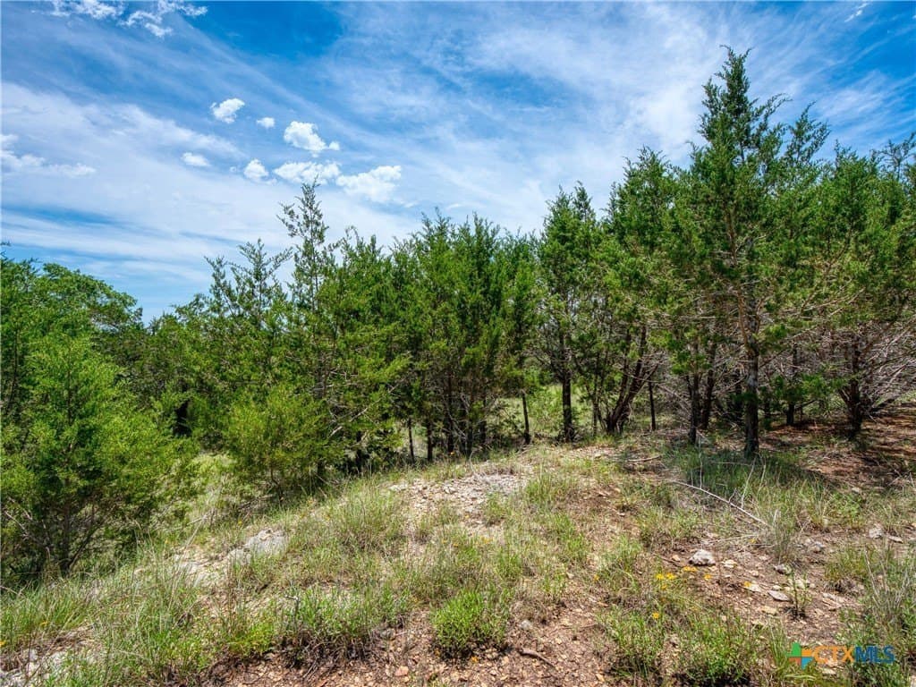 1.02 acres in Comal County gallery image 3