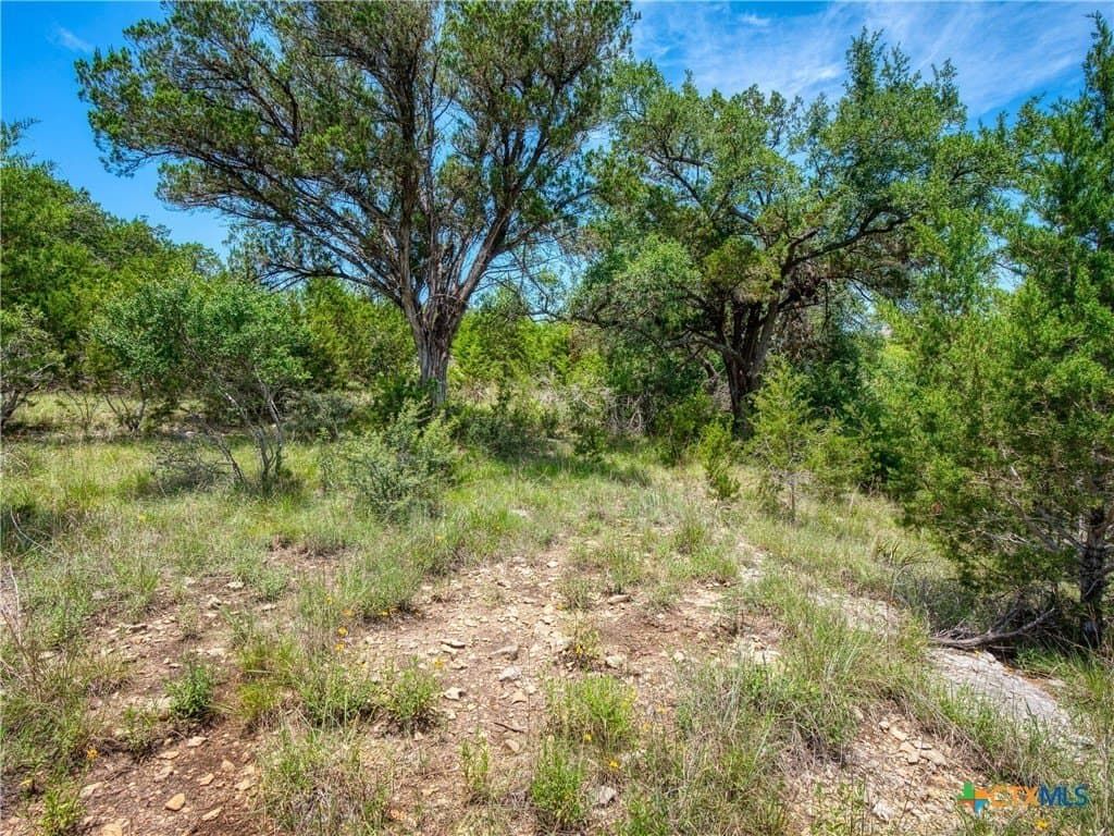 1.02 acres in Comal County gallery image 4