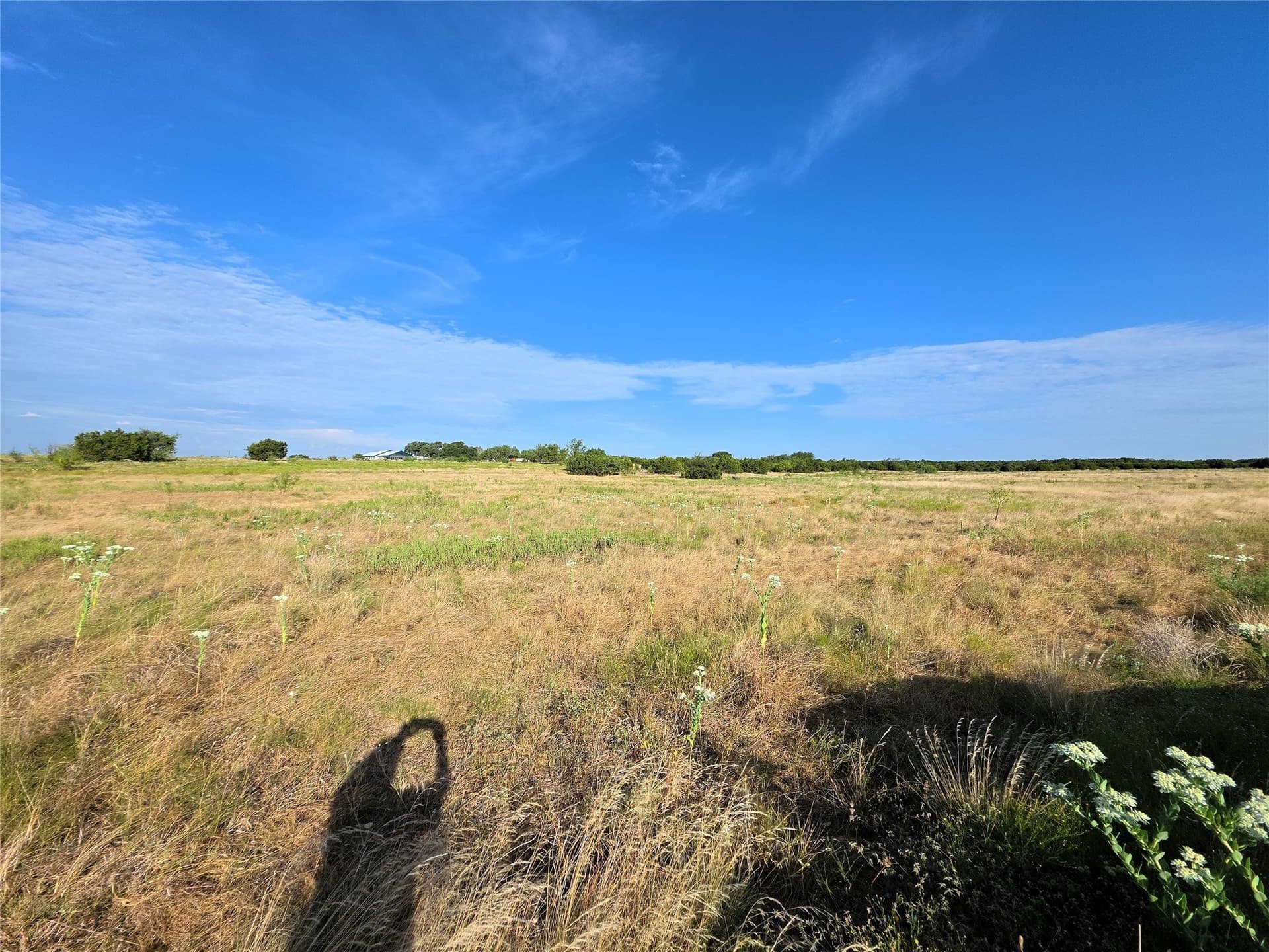 5.1 acres in Coryell County - photo 4