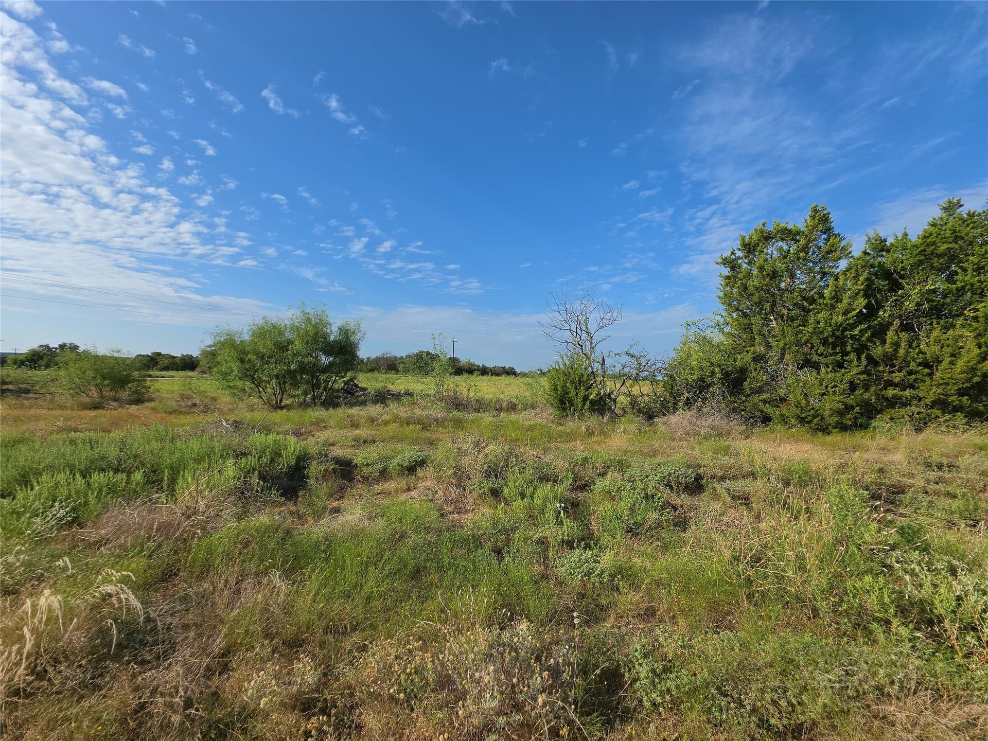 5.1 acres in Coryell County - photo 9