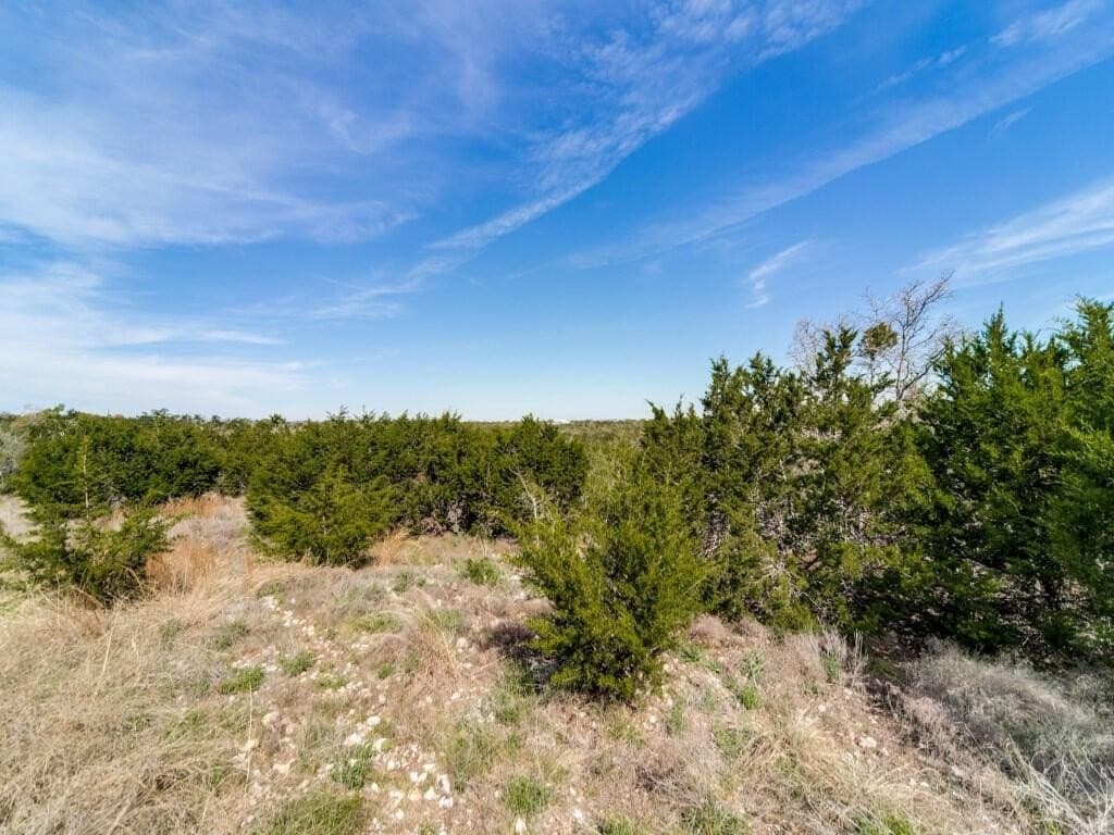 22.01 acres in Gillespie County - photo 46