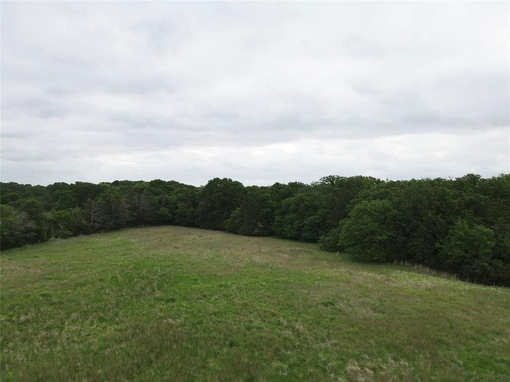 14.33 acres in Fannin County featured view