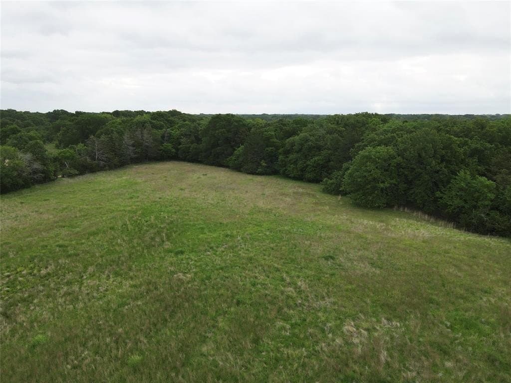 14.33 acres in Fannin County gallery image 4