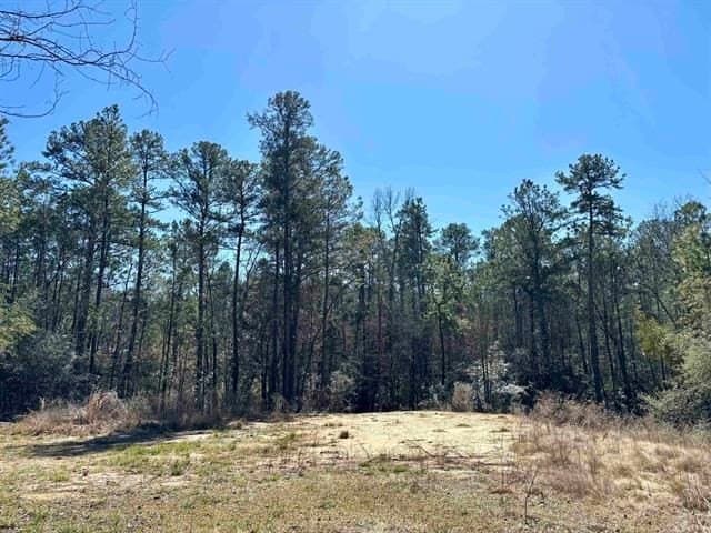 0.29 acres in Texas County - photo 5