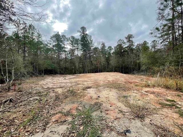 0.29 acres in Texas County - photo 2