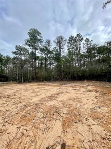 0.29 acres in Texas County - photo 4