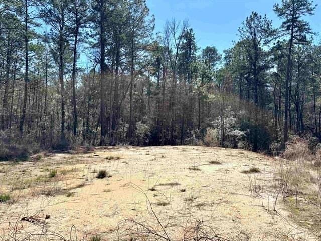 0.29 acres in Texas County - photo 3