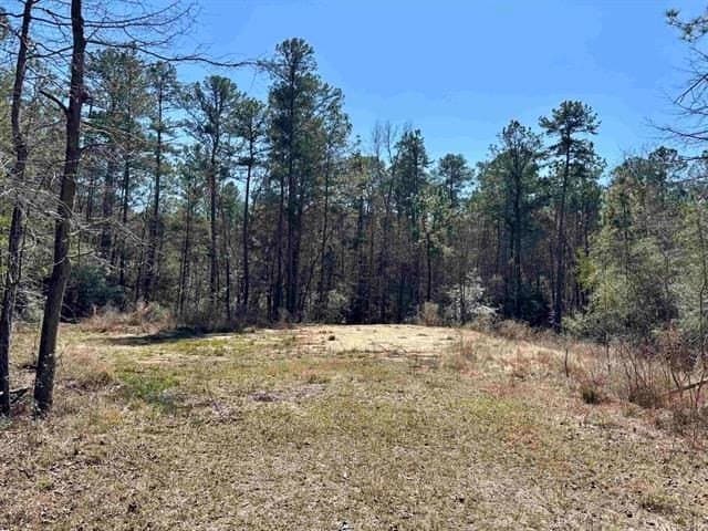 0.29 acres in Texas County - photo 6