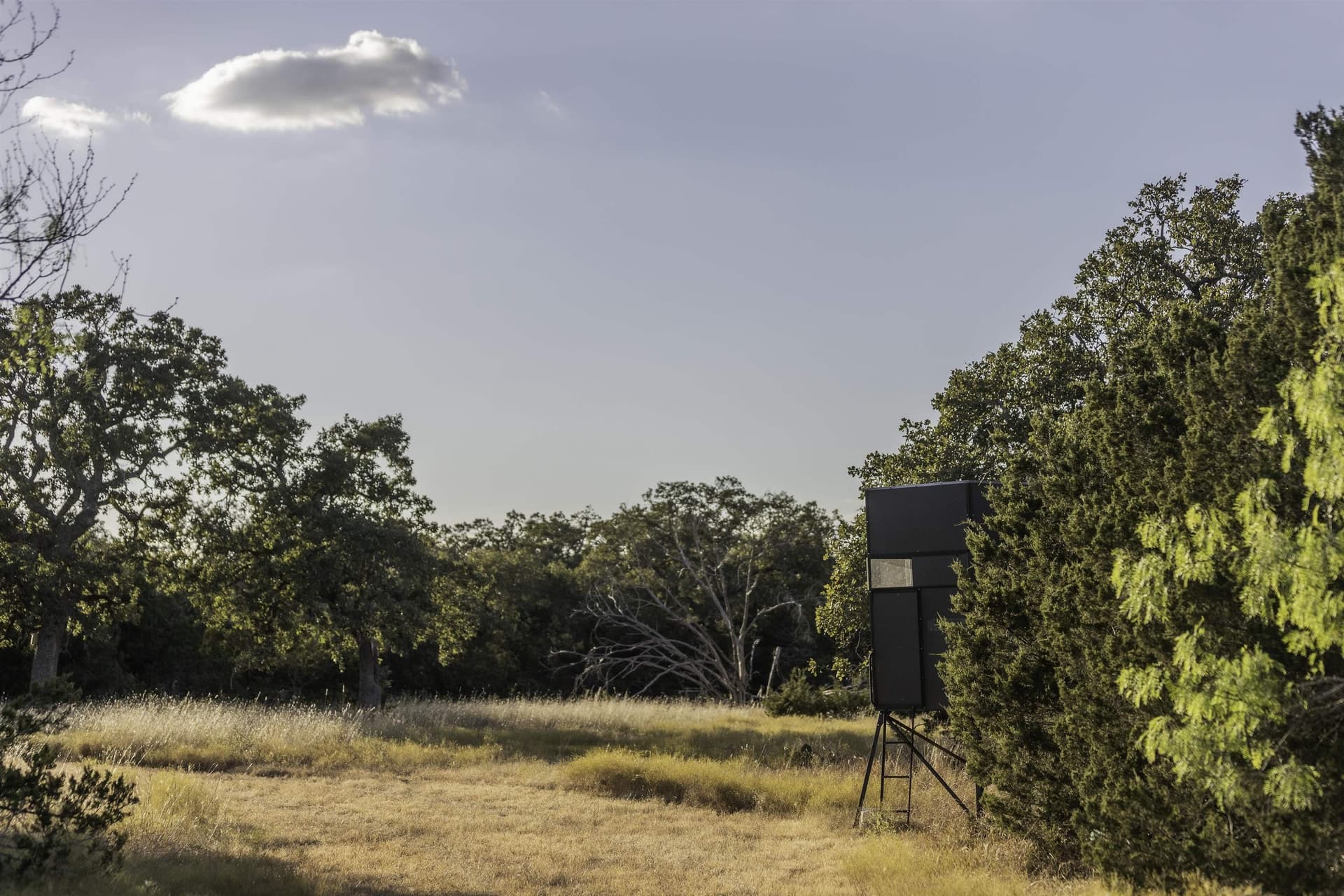 18 acres in Gillespie County gallery image 2