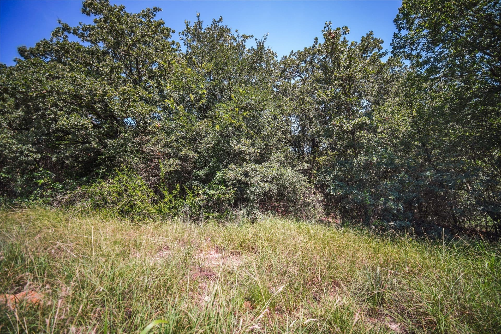 0.21 acres in Wise County - photo 2