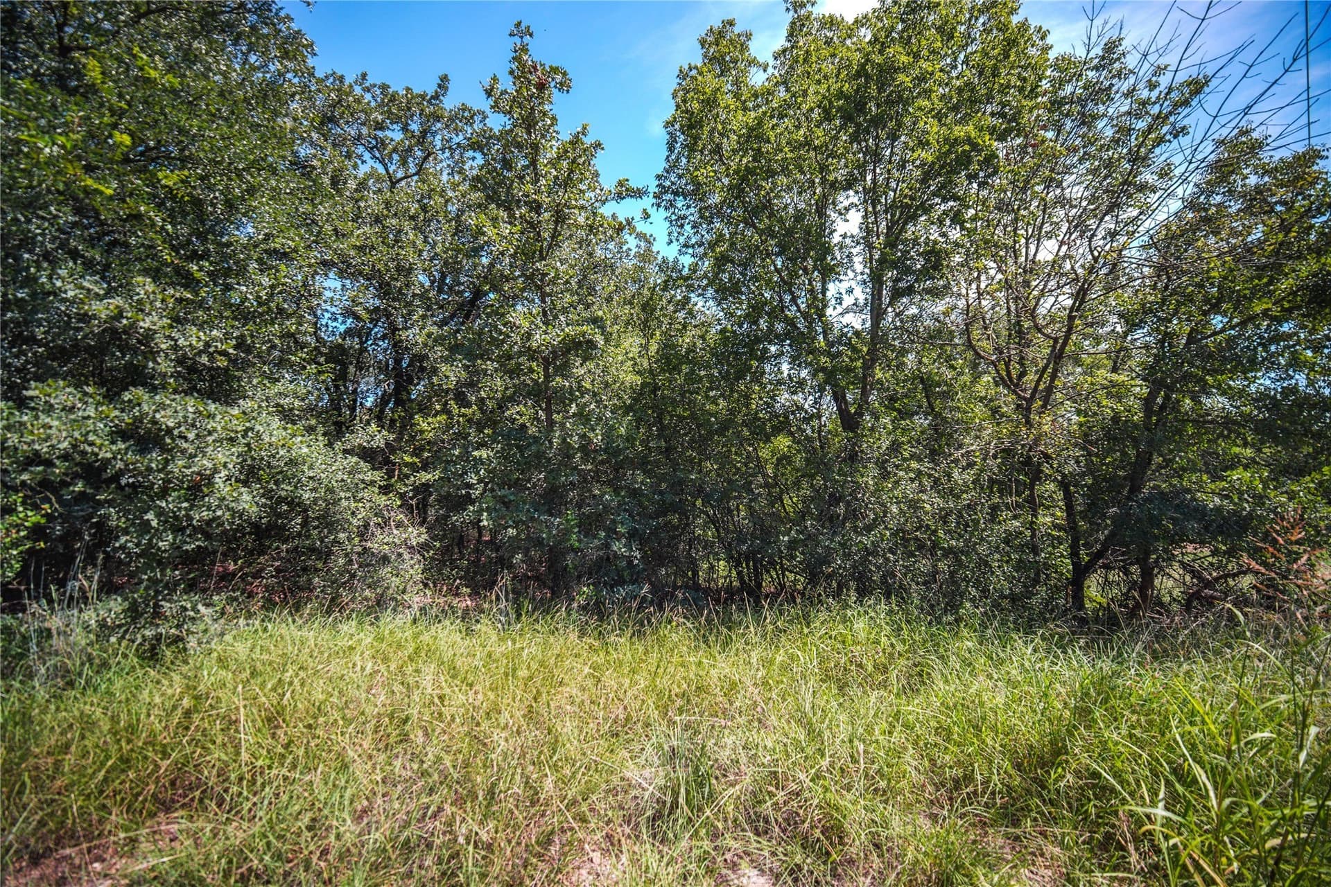 0.21 acres in Wise County - photo 3