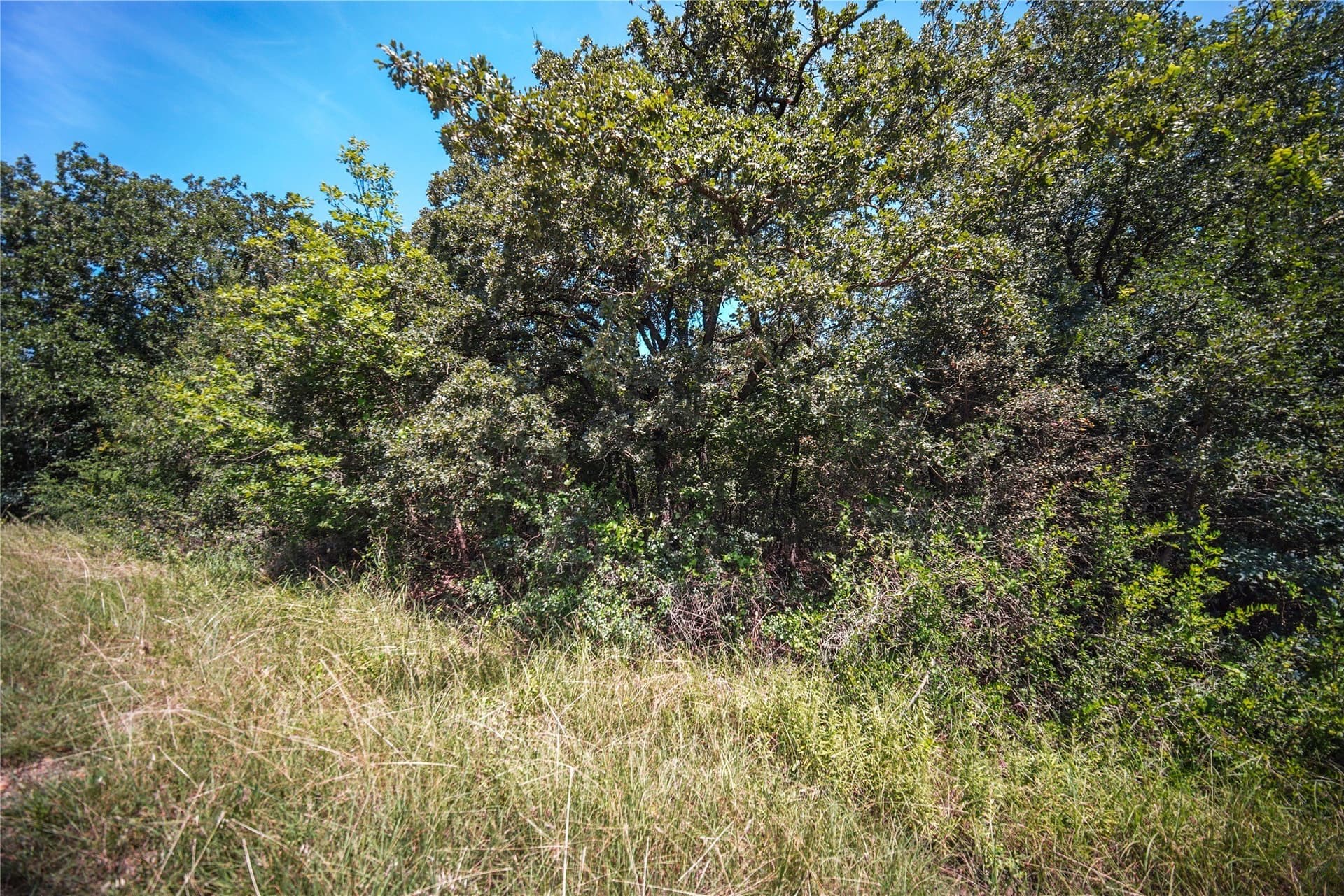 0.21 acres in Wise County - photo 4